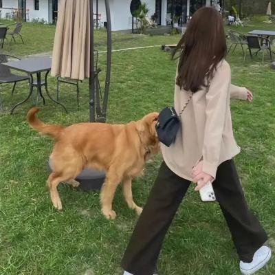黑吃黑第二季